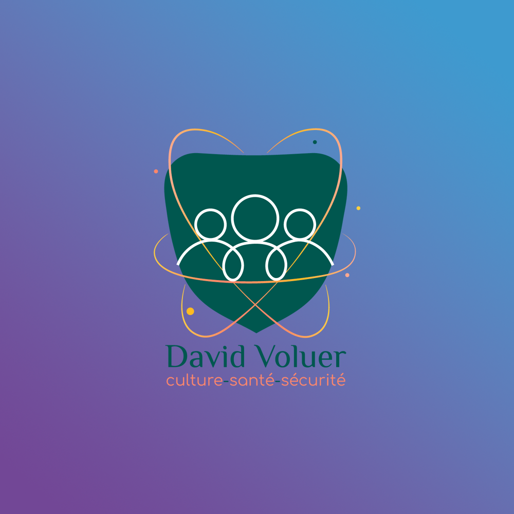 logo-David-Voluer 